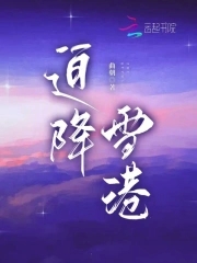 迫降雪港小说免费阅读