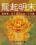 龙起明末TXT下载奇书网