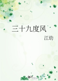 三十九度风小说讲了什么