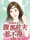 甜婚蜜爱：腹黑前夫惹不得