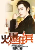 火爆狂龙全集