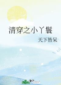 清穿之小丫鬟天下皆呆