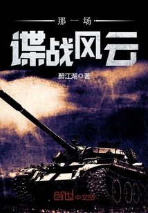 那一场谍战风云小说免费阅读