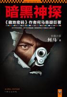 暗黑神探(全) 何马