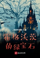 霍格沃茨的绿宝石男主是谁